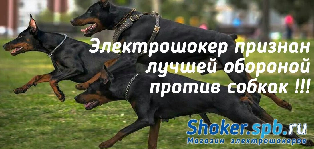 Электрошокер лучшая оборона от собак против ультразвуковых отпугивателей